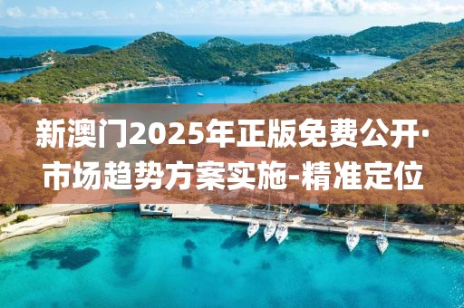 新澳門2025年正版免費公開·市場趨勢方案實施-精準(zhǔn)定位