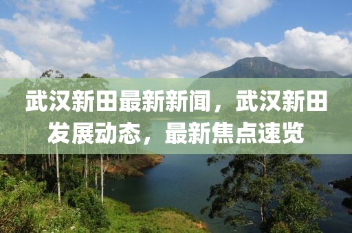 武漢新田最新新聞，武漢新田發(fā)展動(dòng)態(tài)，最新焦點(diǎn)速覽