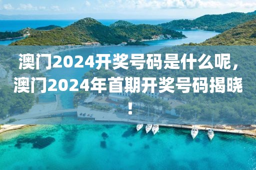 澳門2024開獎號碼是什么呢，澳門2024年首期開獎號碼揭曉！