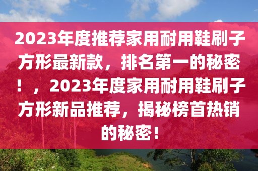 2023年度推薦家用耐用鞋刷子方形最新款，排名第一的秘密！，2023年度家用耐用鞋刷子方形新品推薦，揭秘榜首熱銷的秘密！