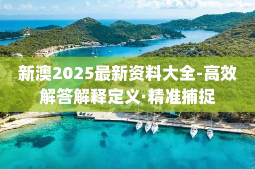 新澳2025最新資料大全-高效解答解釋定義·精準捕捉