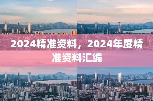 2024精準(zhǔn)資料，2024年度精準(zhǔn)資料匯編