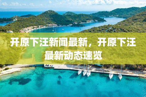 開原下汪新聞最新，開原下汪最新動態(tài)速覽