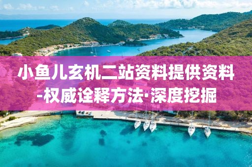 小魚兒玄機(jī)二站資料提供資料-權(quán)威詮釋方法·深度挖掘