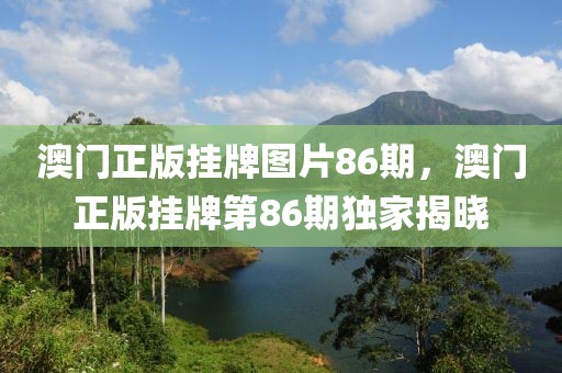 澳門正版掛牌圖片86期，澳門正版掛牌第86期獨(dú)家揭曉