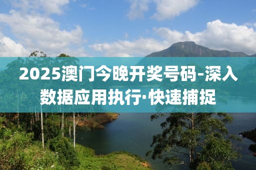 2025澳門(mén)今晚開(kāi)獎(jiǎng)號(hào)碼-深入數(shù)據(jù)應(yīng)用執(zhí)行·快速捕捉