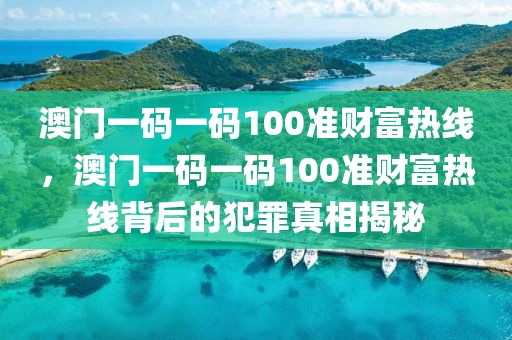 澳門一碼一碼100準財富熱線，澳門一碼一碼100準財富熱線背后的犯罪真相揭秘