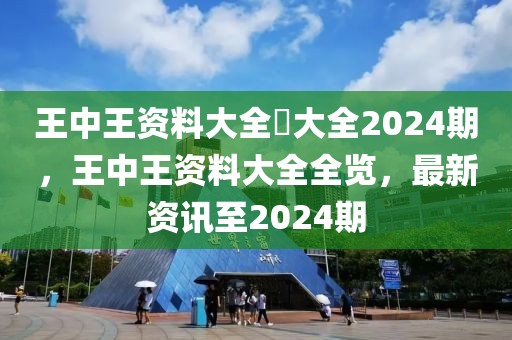 王中王資料大全枓大全2024期，王中王資料大全全覽，最新資訊至2024期