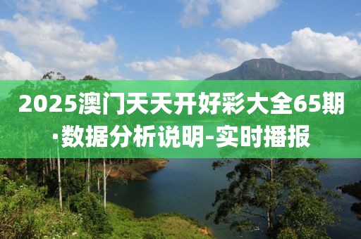 2025澳門天天開好彩大全65期·數(shù)據(jù)分析說明-實時播報