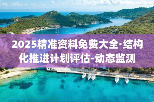 2025精準資料免費大全·結(jié)構(gòu)化推進計劃評估-動態(tài)監(jiān)測