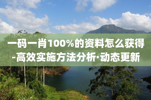 一碼一肖100%的資料怎么獲得-高效實(shí)施方法分析·動(dòng)態(tài)更新