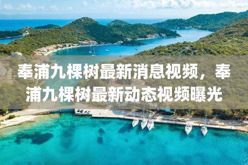 奉浦九棵樹最新消息視頻，奉浦九棵樹最新動(dòng)態(tài)視頻曝光